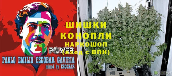 марки lsd Алзамай