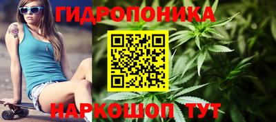 СК Камышлов