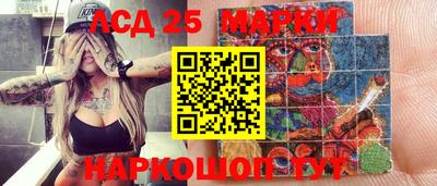 сатива Кандалакша