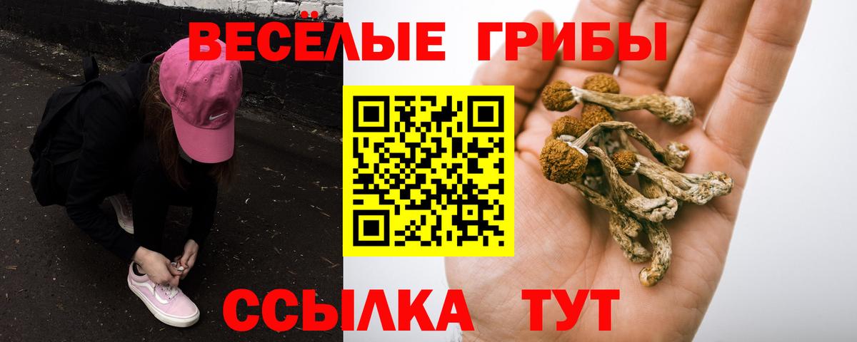 Галлюциногенные грибы GOLDEN TEACHER  Вход с VPN  купить   Нефтекамск 